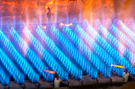 Braywoodside gas fired boilers